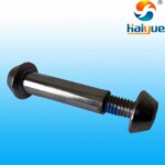 Steel Bike Frame Bolts HY-PV-D0100